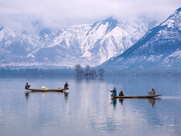 A clear blue lake surrounded by dense forests